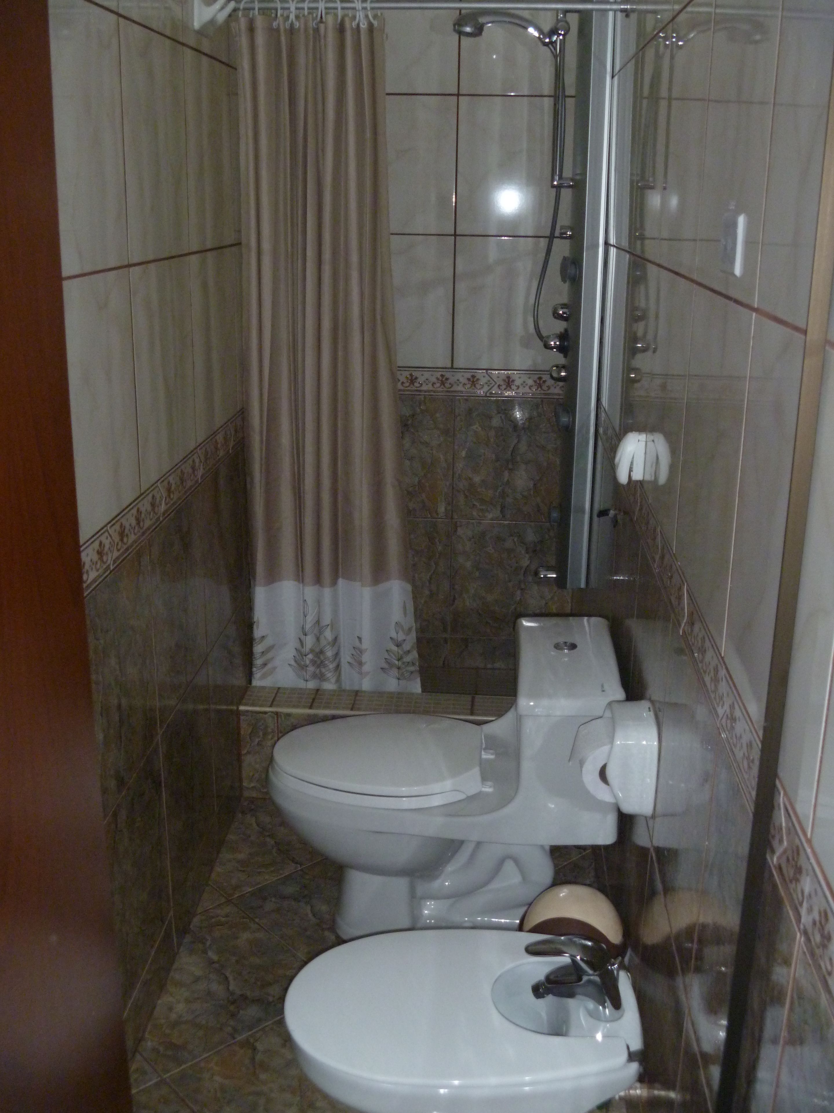 A bathroom with a toilet, bidet, and shower.