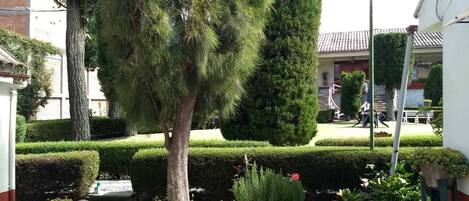 A well-maintained garden with neatly trimmed hedges and a variety of plants.
