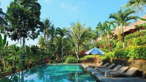Uima-allas, jossa on aurinkotuoleja ja trooppista kasvillisuutta.
