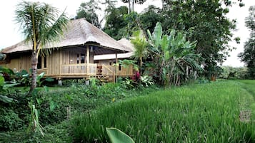 标准房 (Bamboo House) | 客房景观