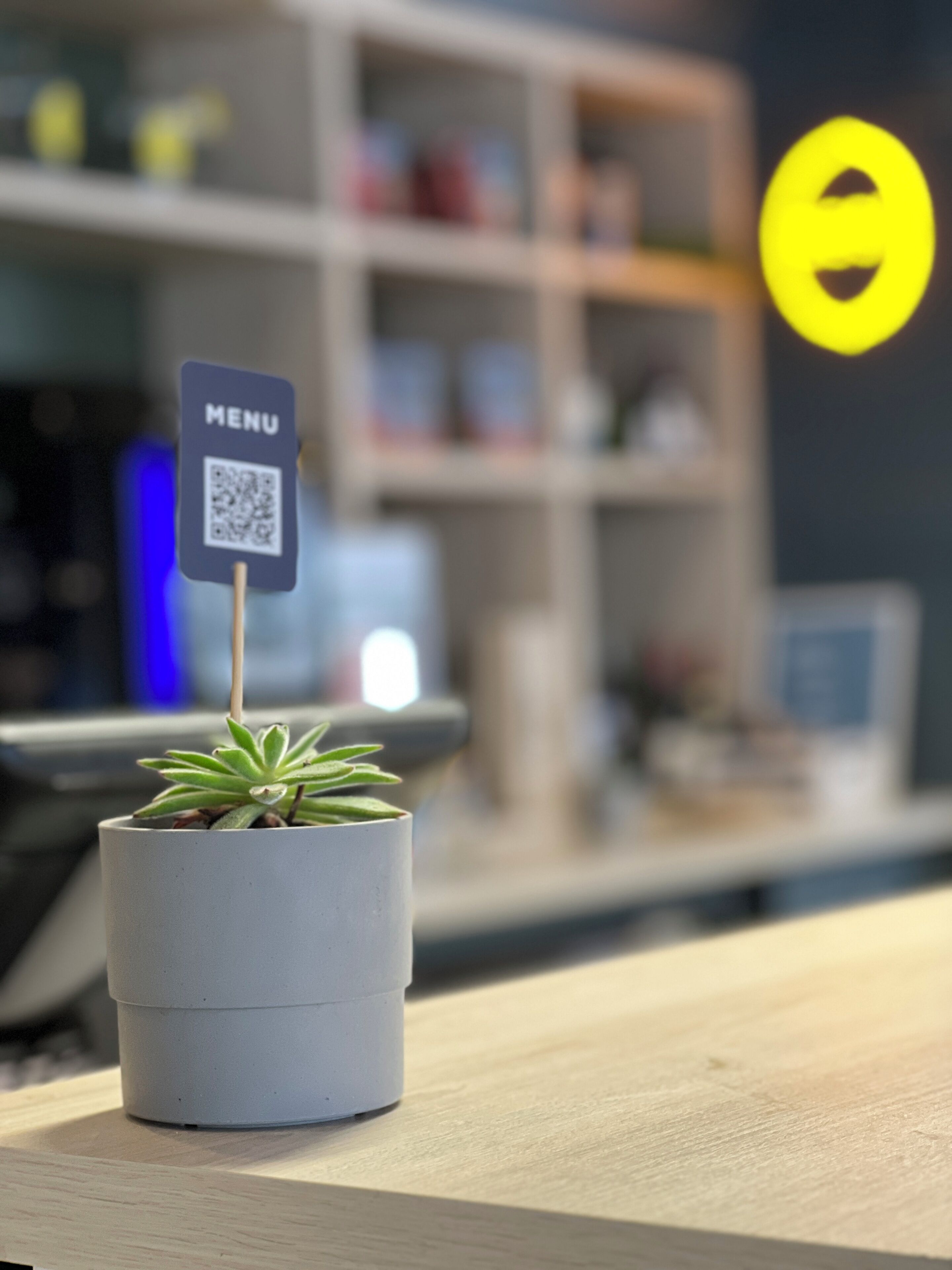 A potted succulent on a wooden surface with a 'MENU' sign and a QR code.