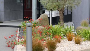 Un espace paysager agrémenté de diverses plantes et fleurs, avec un élément aquatique et une façade de bâtiment moderne en arrière-plan.