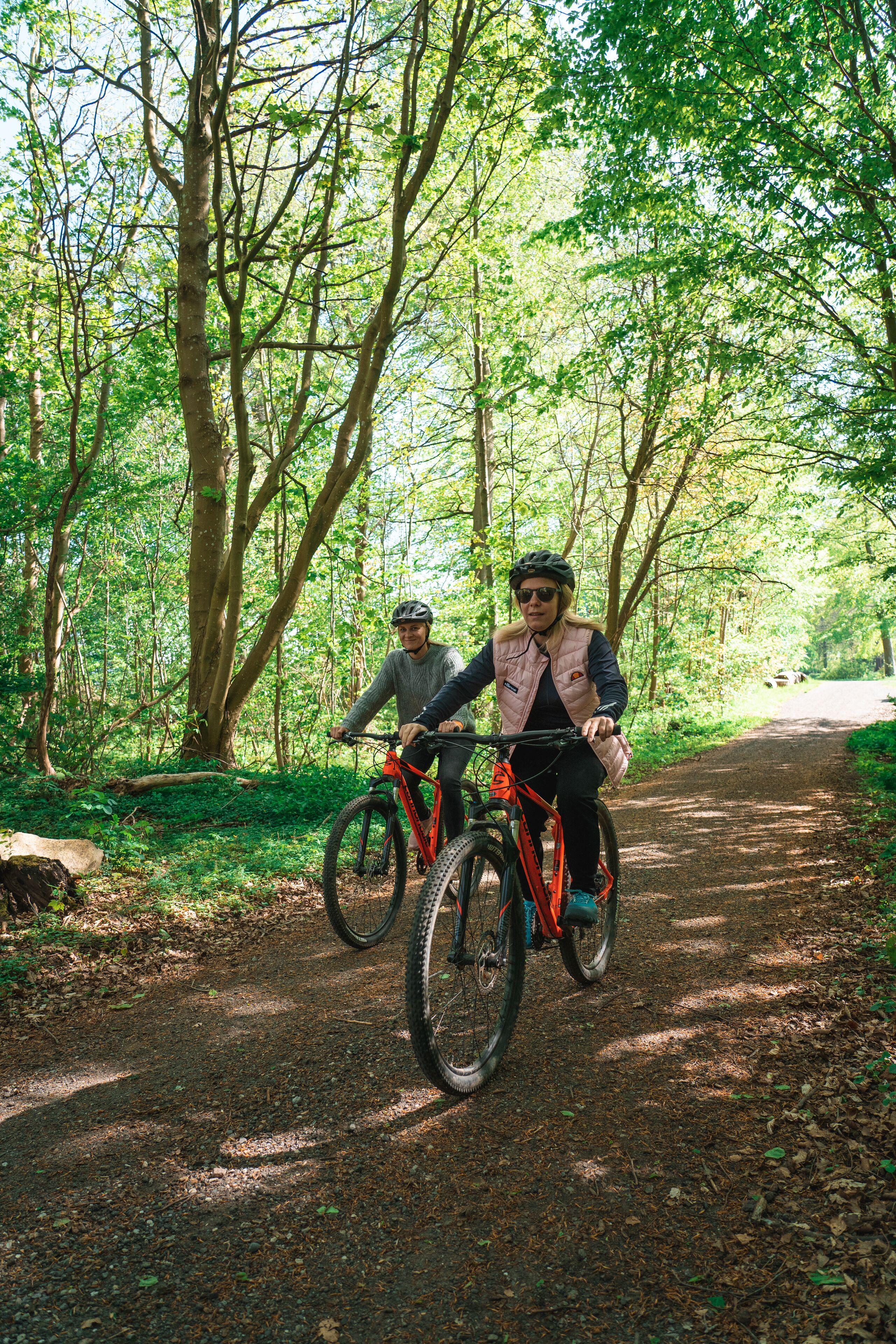 Two people riding bicycles on a forest path.