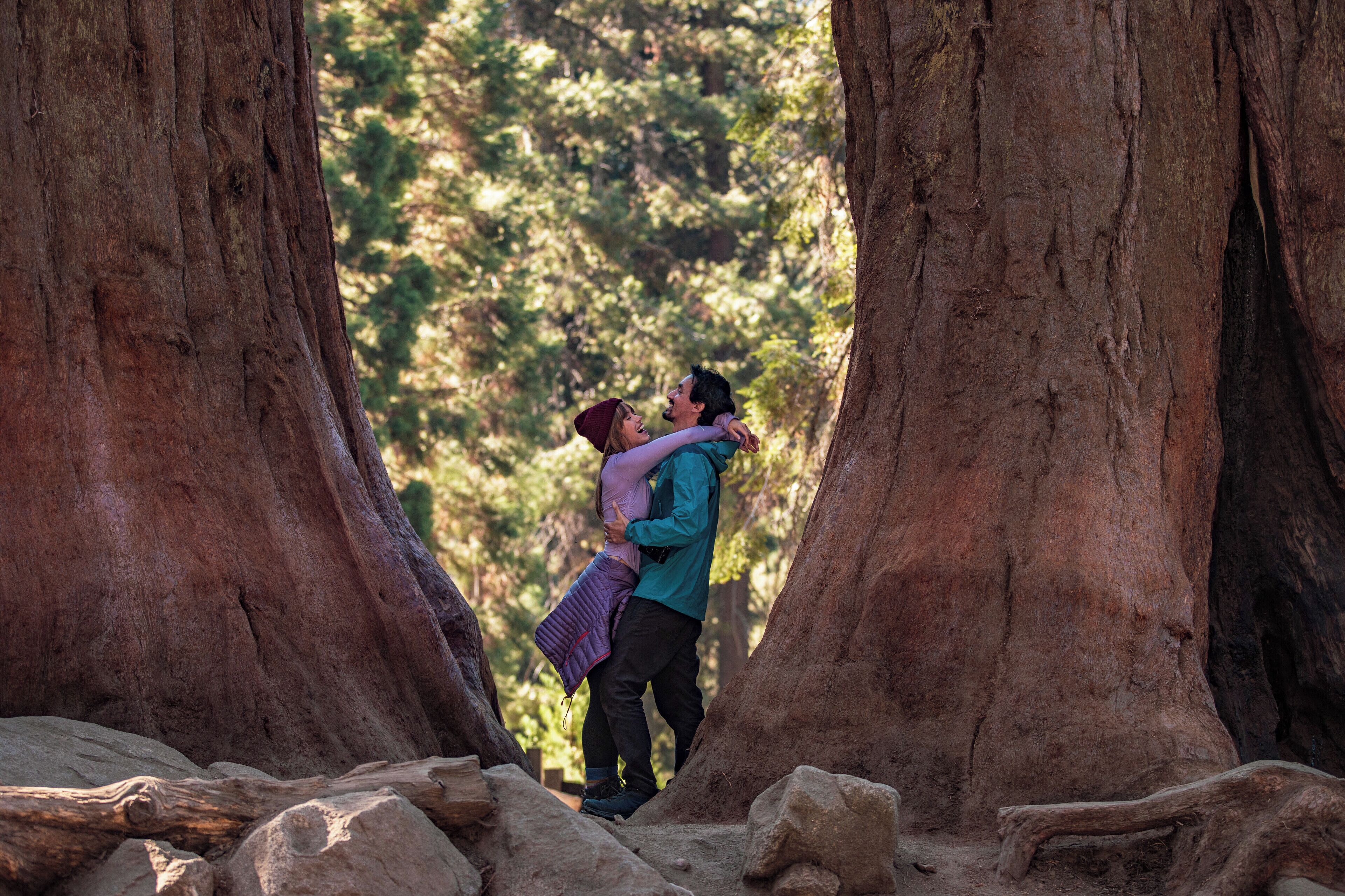 A couple embracing in a natural setting with large trees.