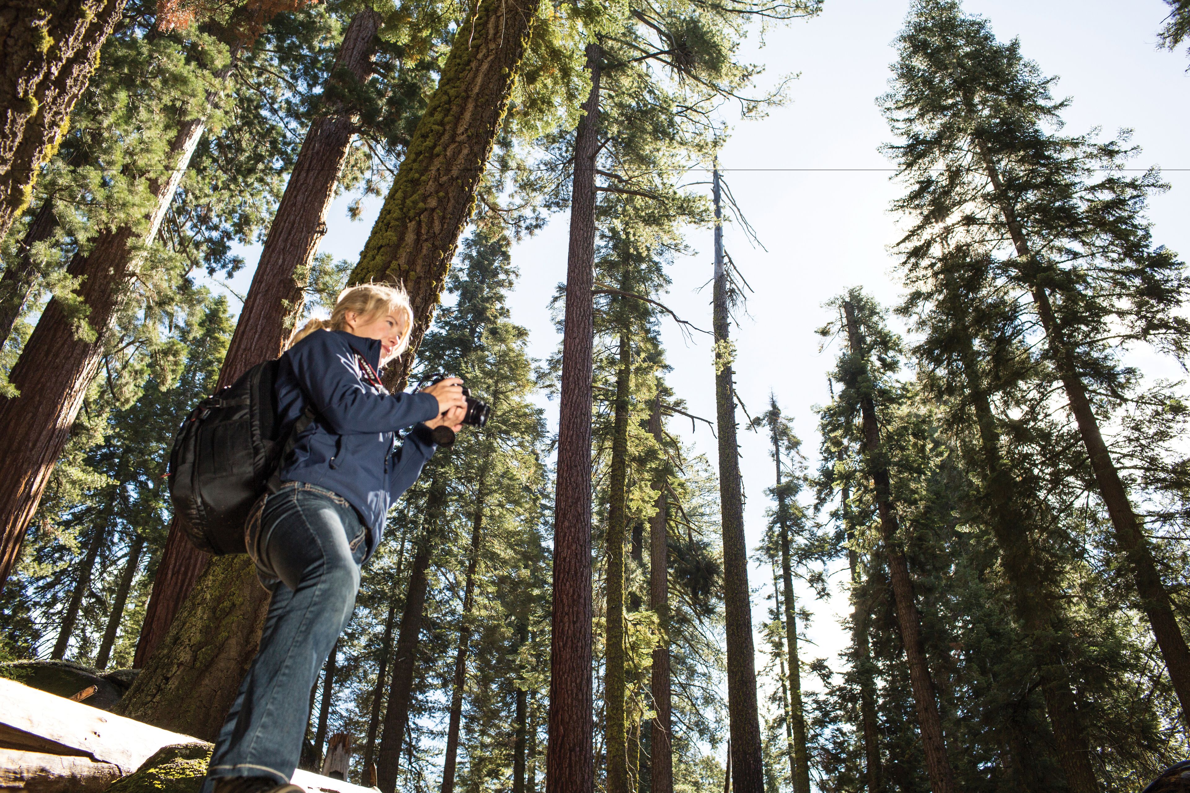 A person standing in a forest with tall trees, wearing a backpack and holding a camera.