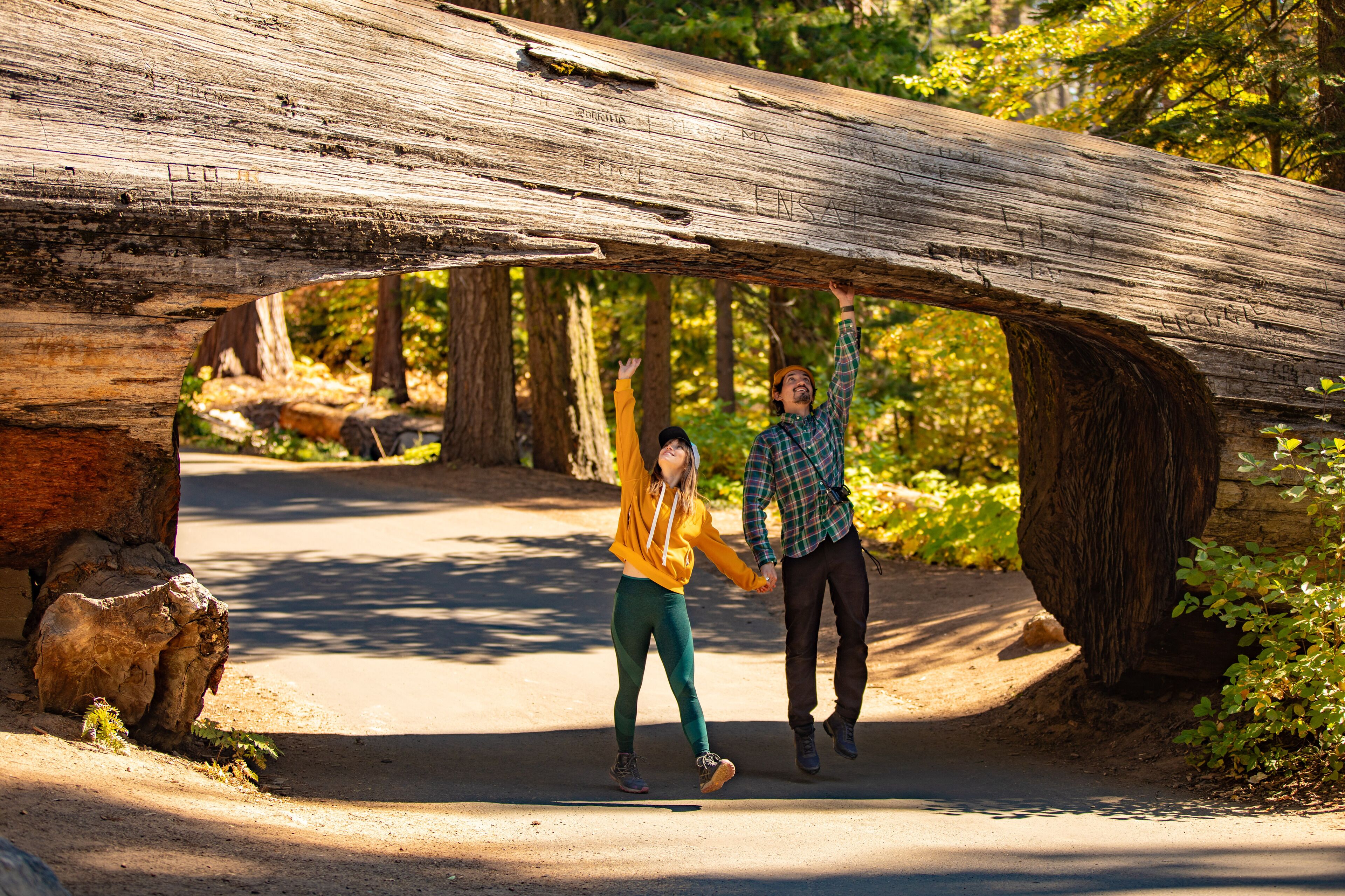 Una pareja caminando bajo un tronco de árbol caído en un sendero forestal.