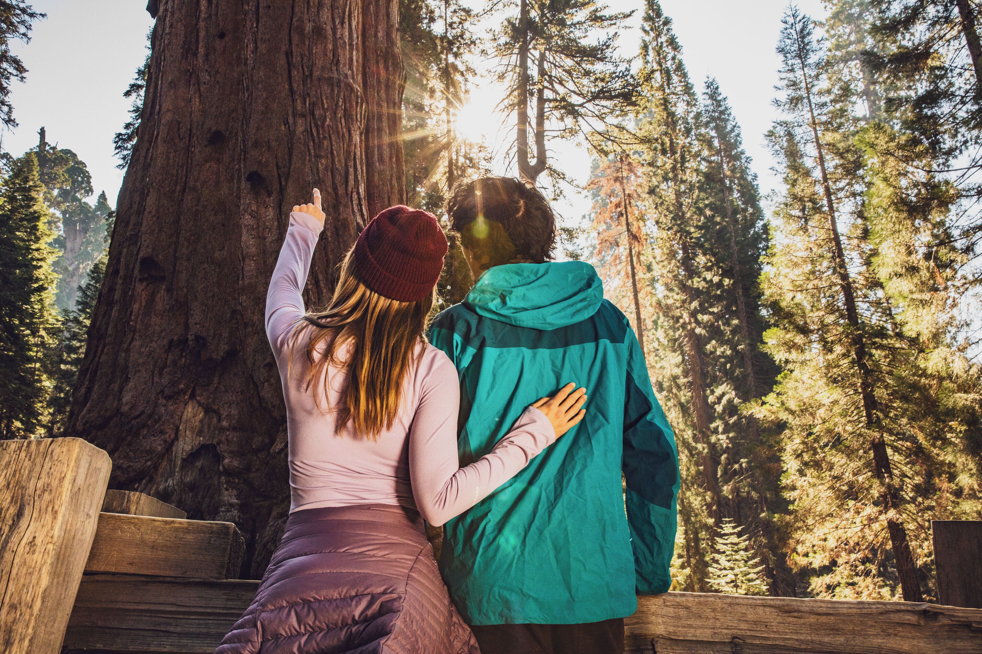Two people standing in front of a large tree, possibly in a forested area.