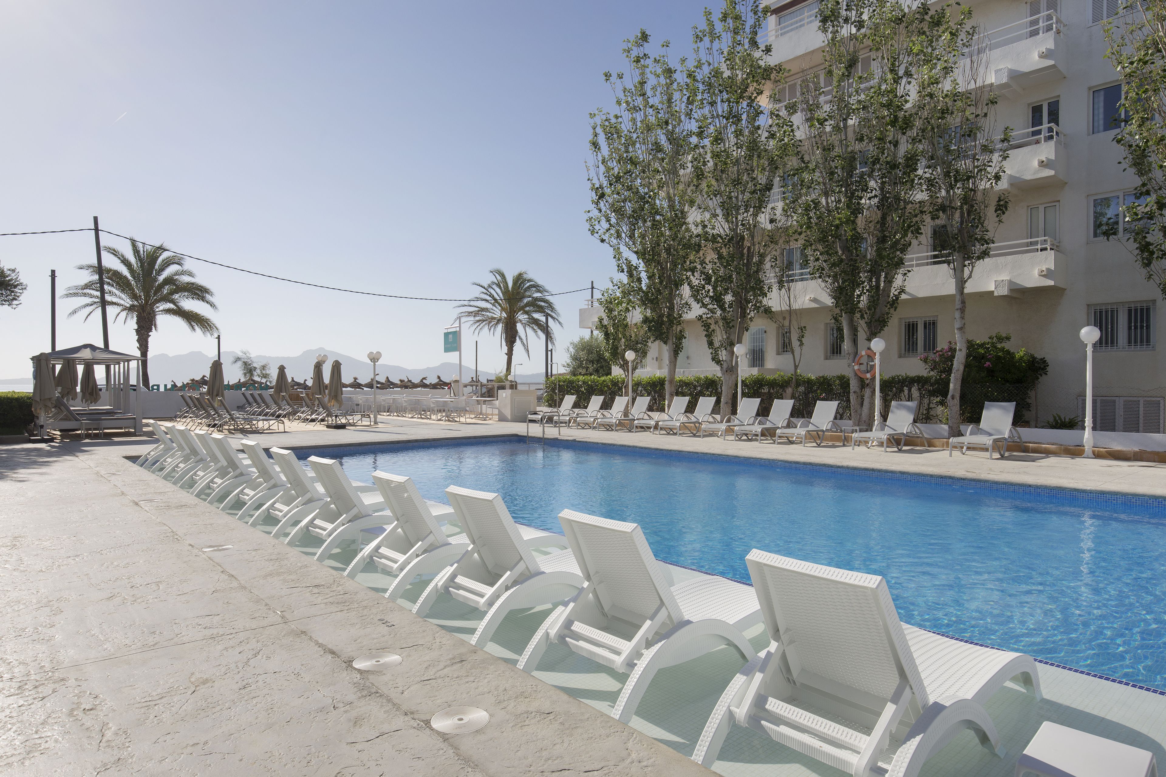Piscina com cadeiras de praia brancas e palmeiras.