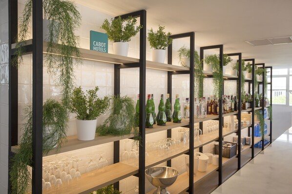 A hotel bar with shelves of glasses, bottles, and potted plants.