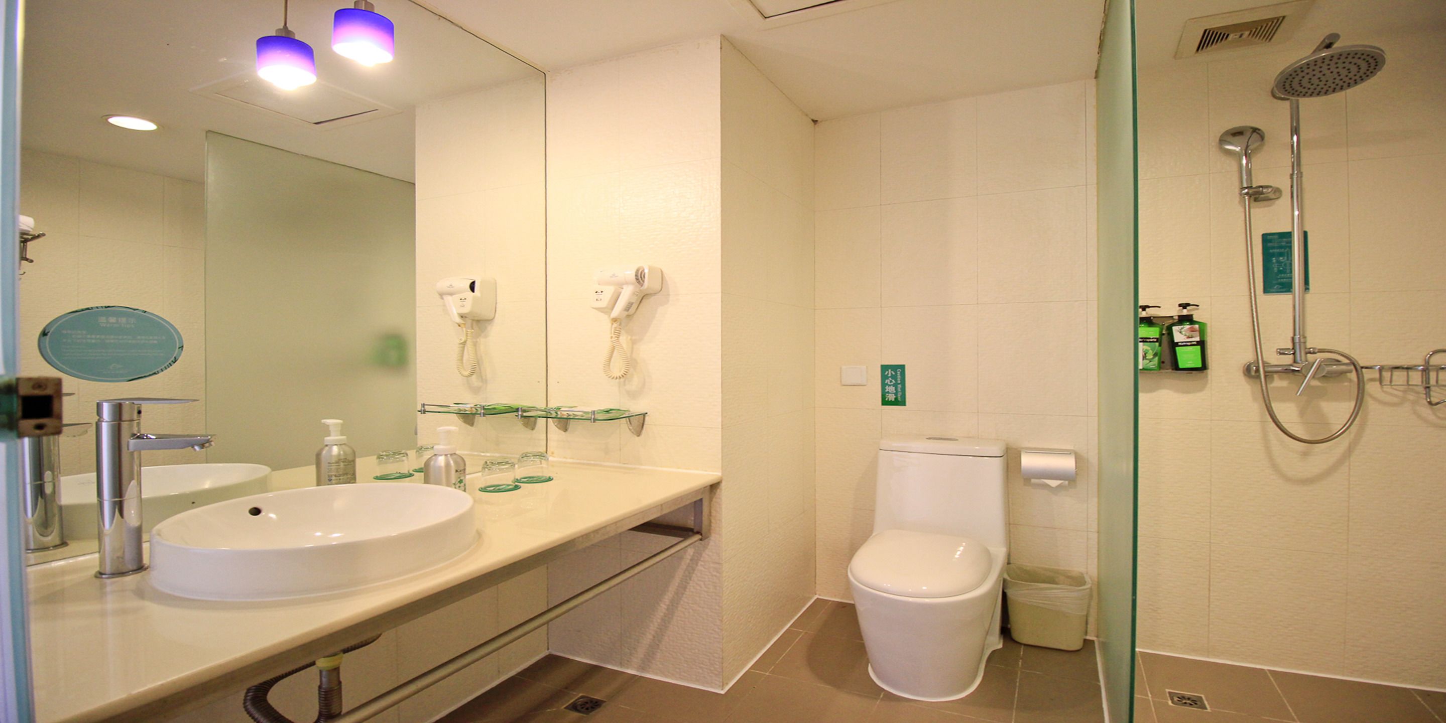 Une salle de bain moderne équipée d’un lavabo, de toilettes et d’une douche.