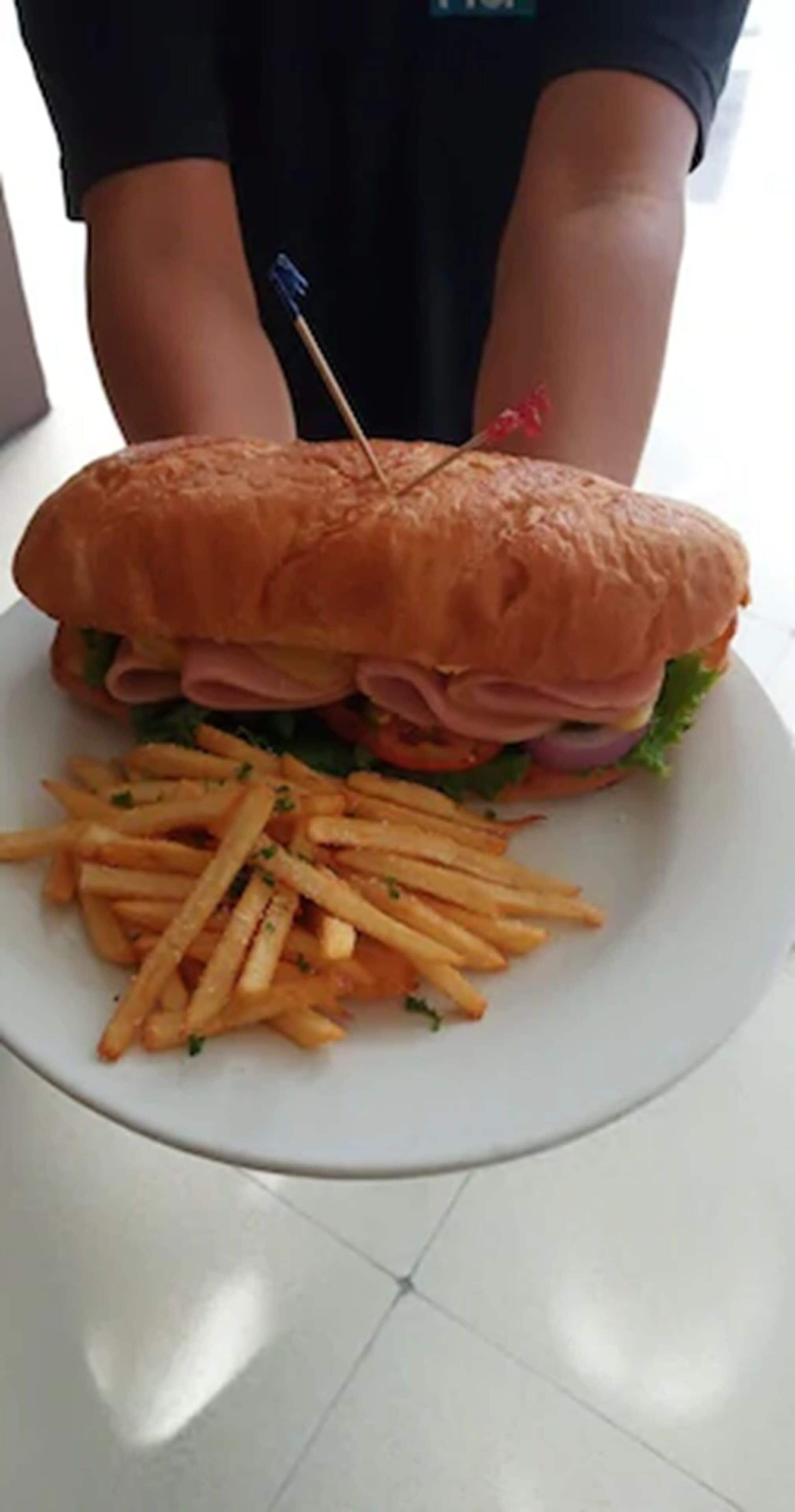 A plate with a sandwich and fries.