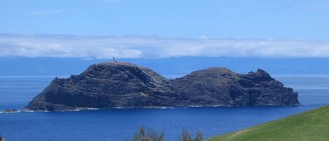 A coastal landscape with rocky outcrops and a grassy foreground.