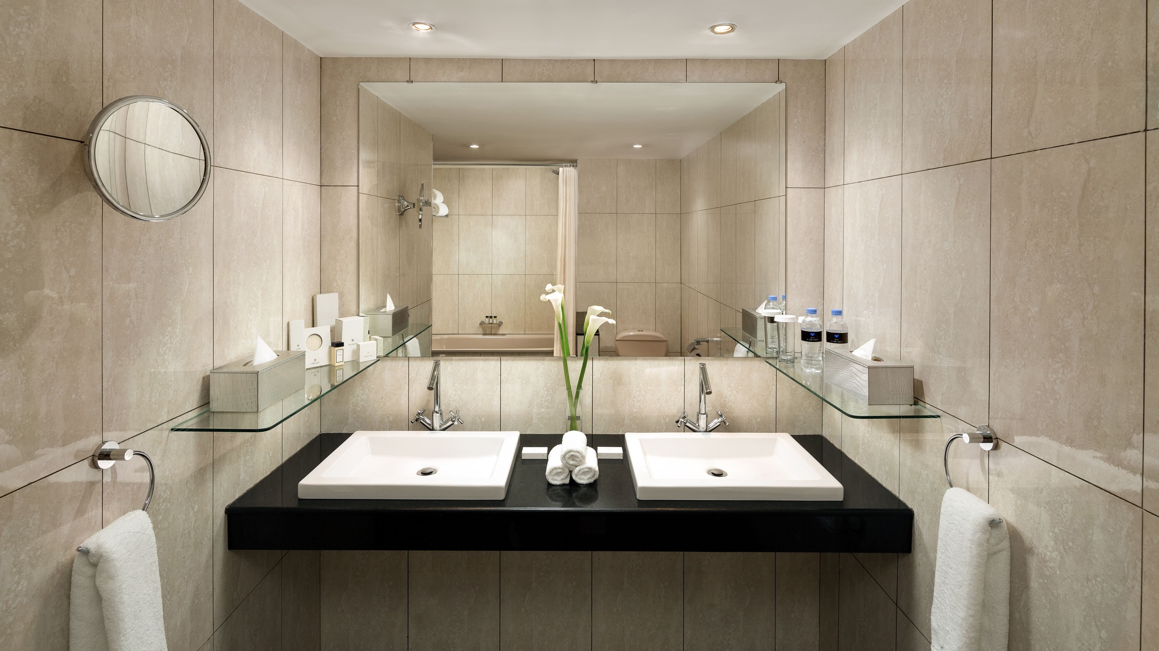 combined shower/bathtub, free toiletries, hair dryer, bathrobes