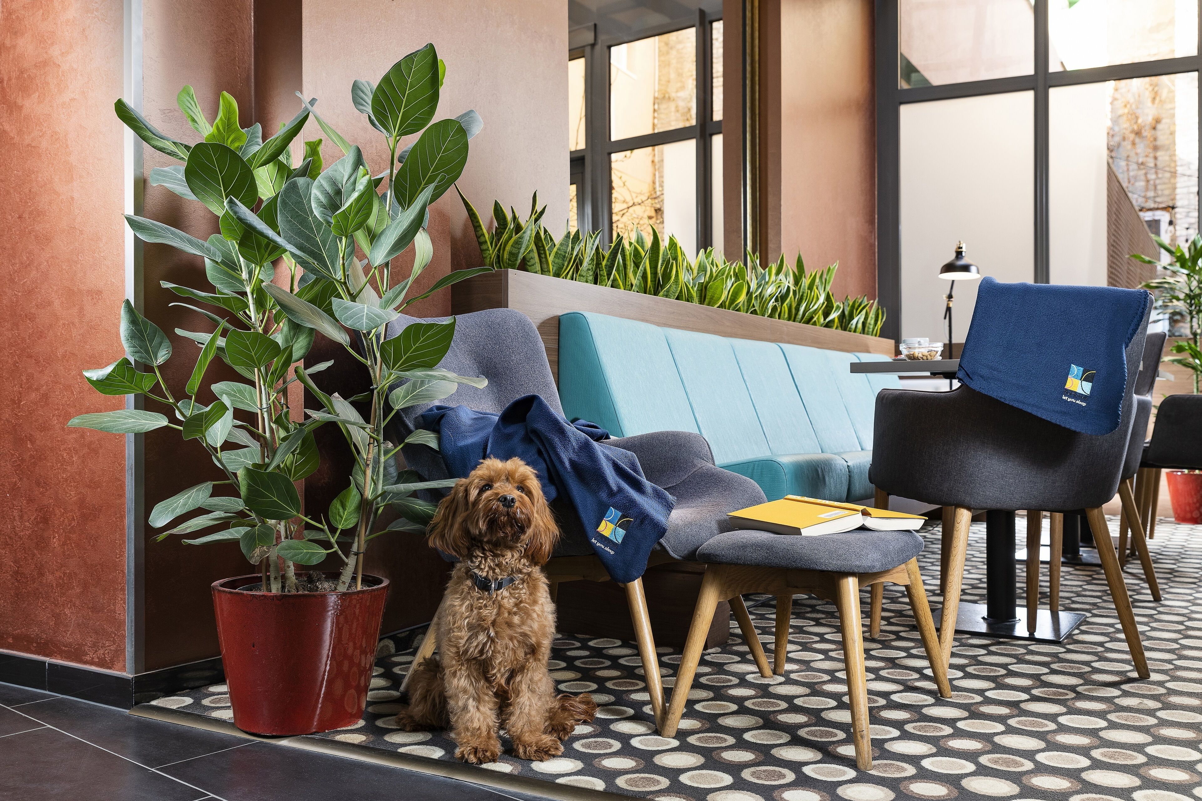 Un chien est assis à côté d’une plante en pot dans un espace intérieur moderne, avec un canapé et une table.