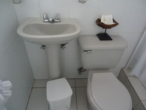 Shower, free toiletries, bidet, towels