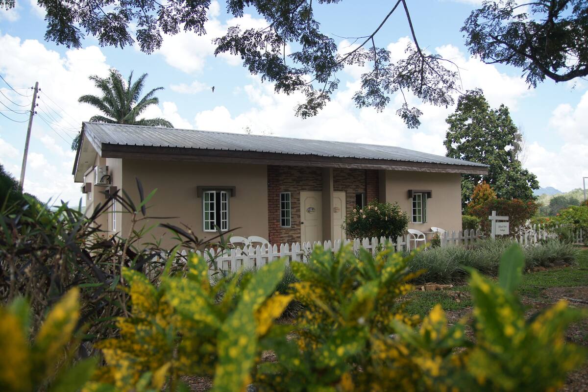 客房 (Cottage) | 办公桌、熨斗/熨板、免费 WiFi、床单