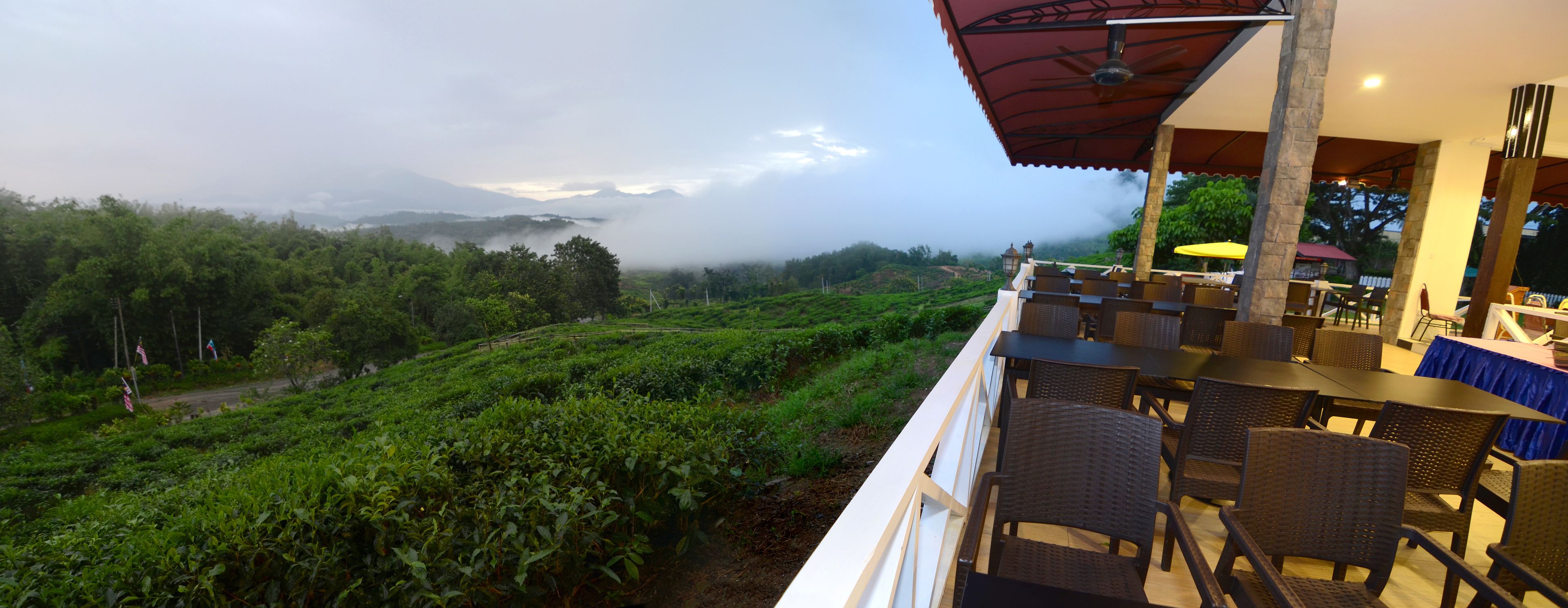 A terrace with wicker furniture overlooking a lush tea plantation and distant mountains.