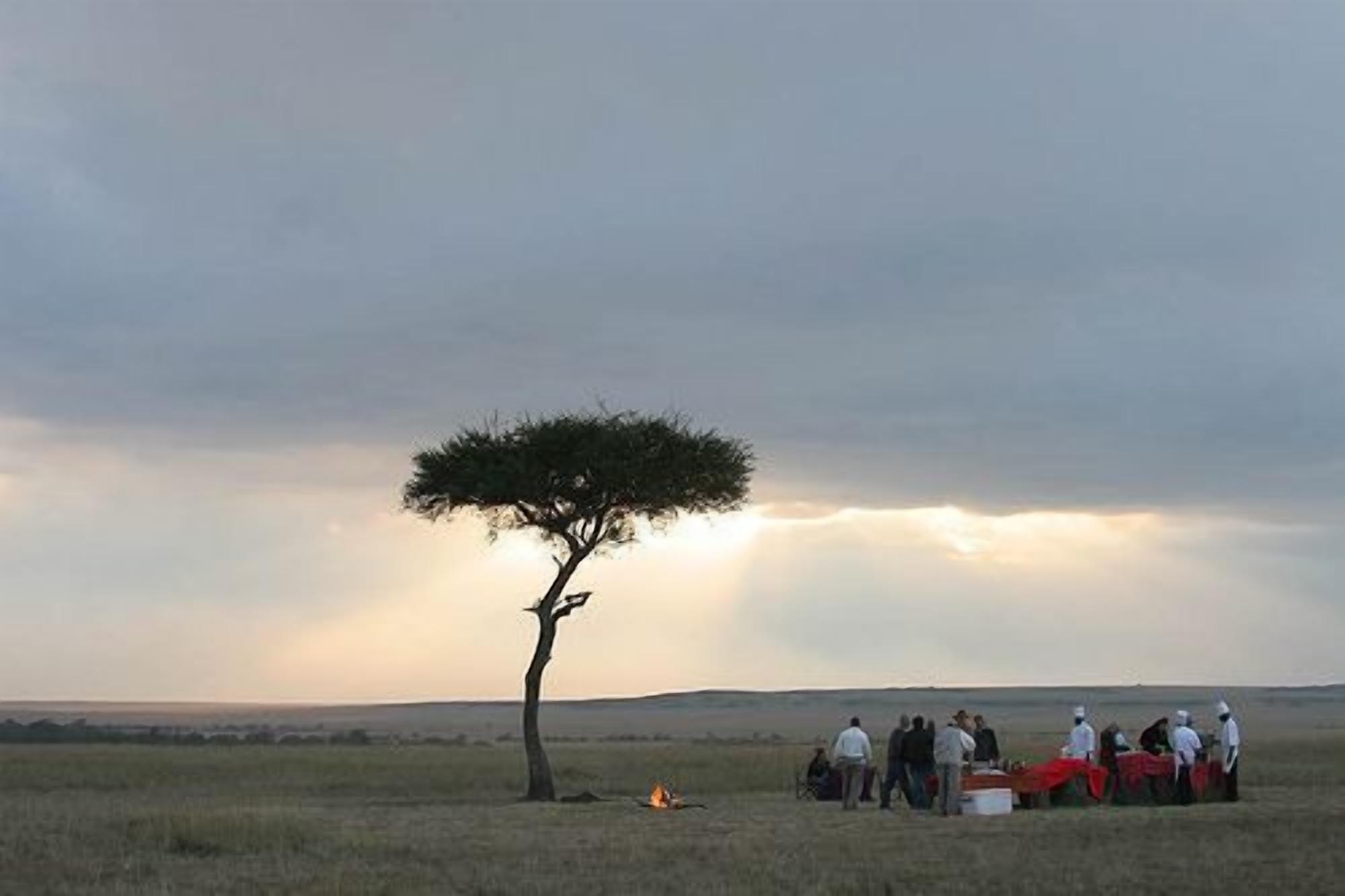 A group of people gathered around a fire in a grassy field with a solitary tree and a cloudy sky.