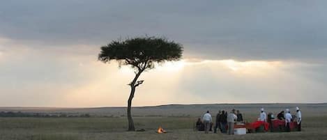 Un grupo de personas reunido alrededor de una fogata en un campo cubierto de hierba, con un árbol solitario y un cielo nublado.
