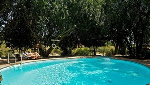 A swimming pool surrounded by trees, with a lifeguard chair and a sign indicating the pool's depth. - Mara Intrepids Tented Camp (Maasai Mara)