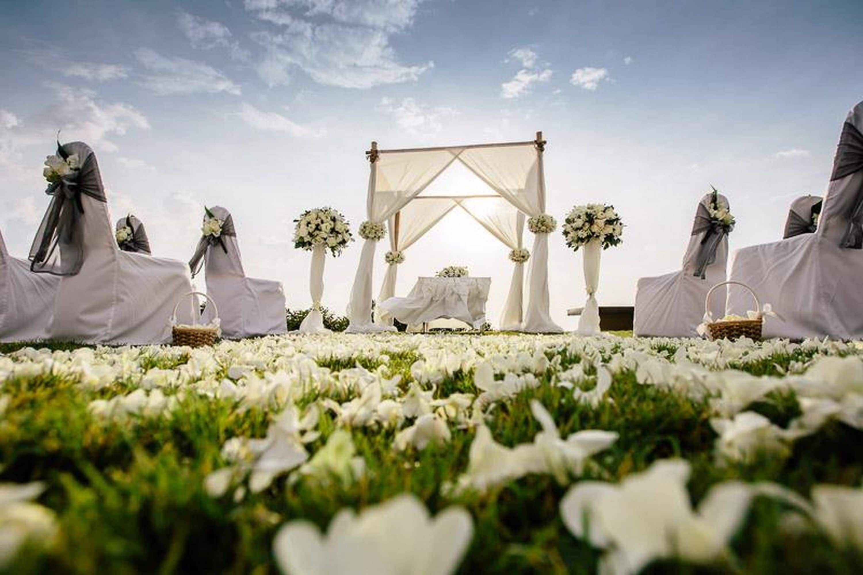 outdoor wedding area