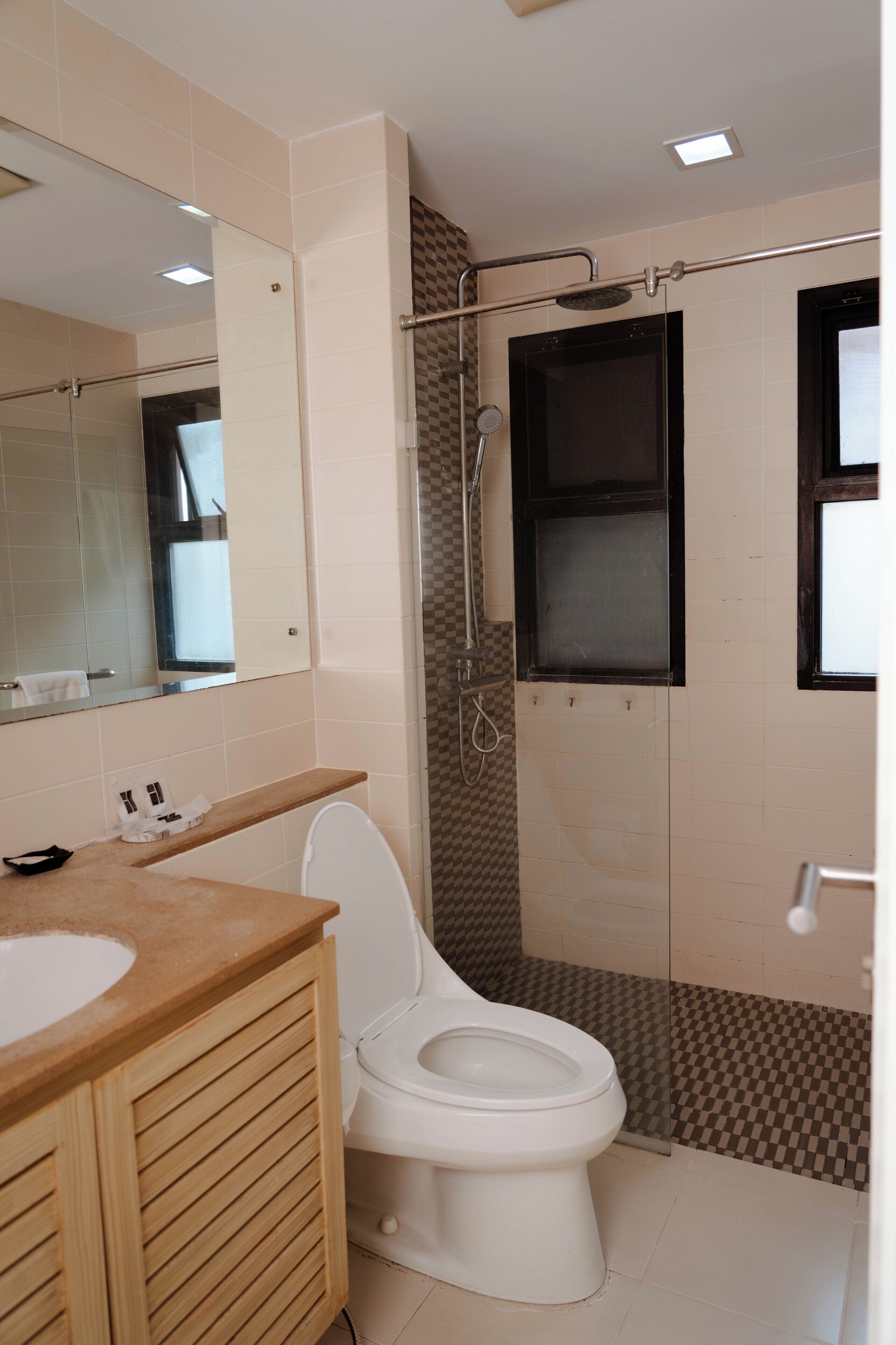 A bathroom with a toilet, a sink, a mirror, and a shower area.
