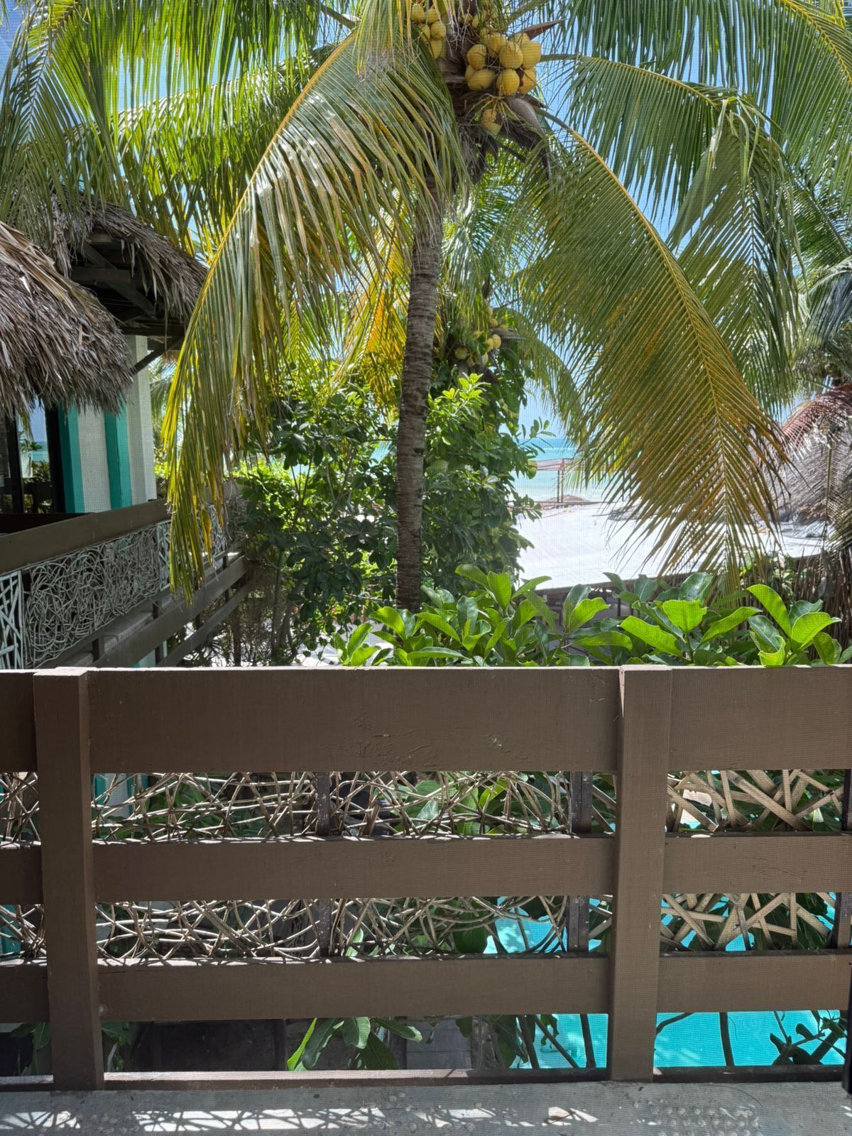 A wooden fence with woven patterns, a palm tree with coconuts, and a clear blue sky.