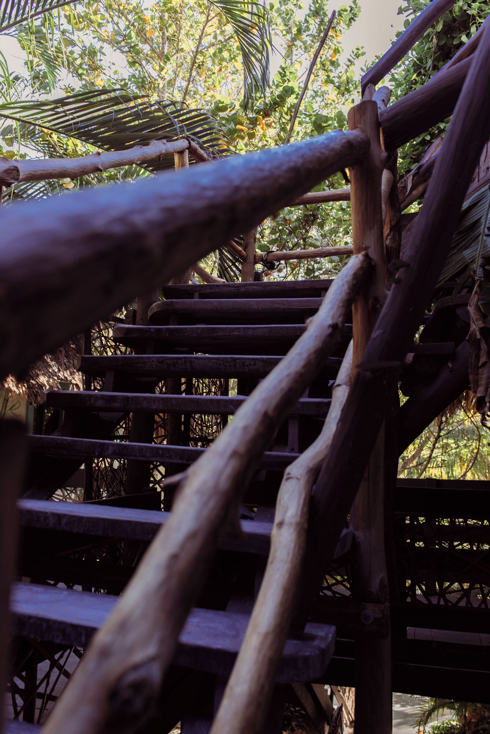 A wooden staircase with a rustic design, surrounded by greenery.