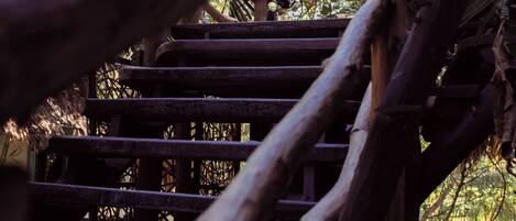 A wooden staircase with a rustic design, surrounded by greenery.