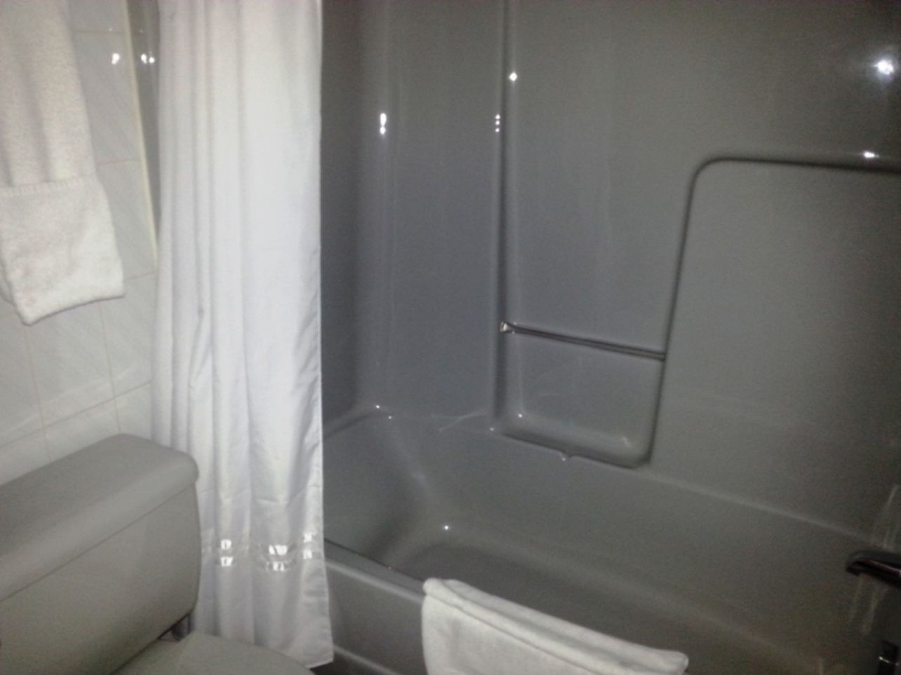 A bathroom with a bathtub, a toilet, and a shower curtain.