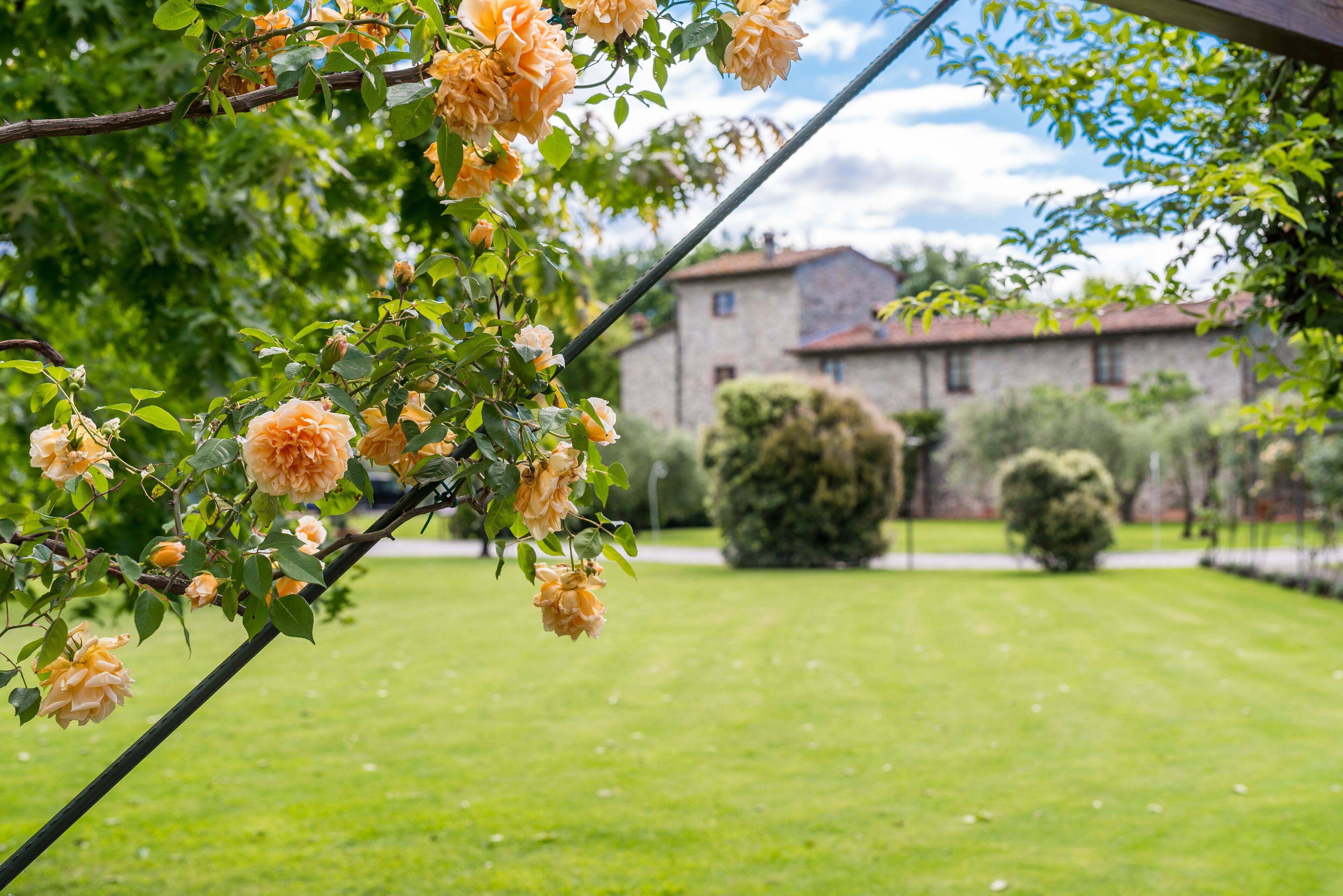 Ein Garten mit blühenden Pfirsichbäumen und einem Steinhaus im Hintergrund.