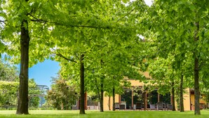 Un patio con árboles, asientos al aire libre y un edificio con grandes ventanales.