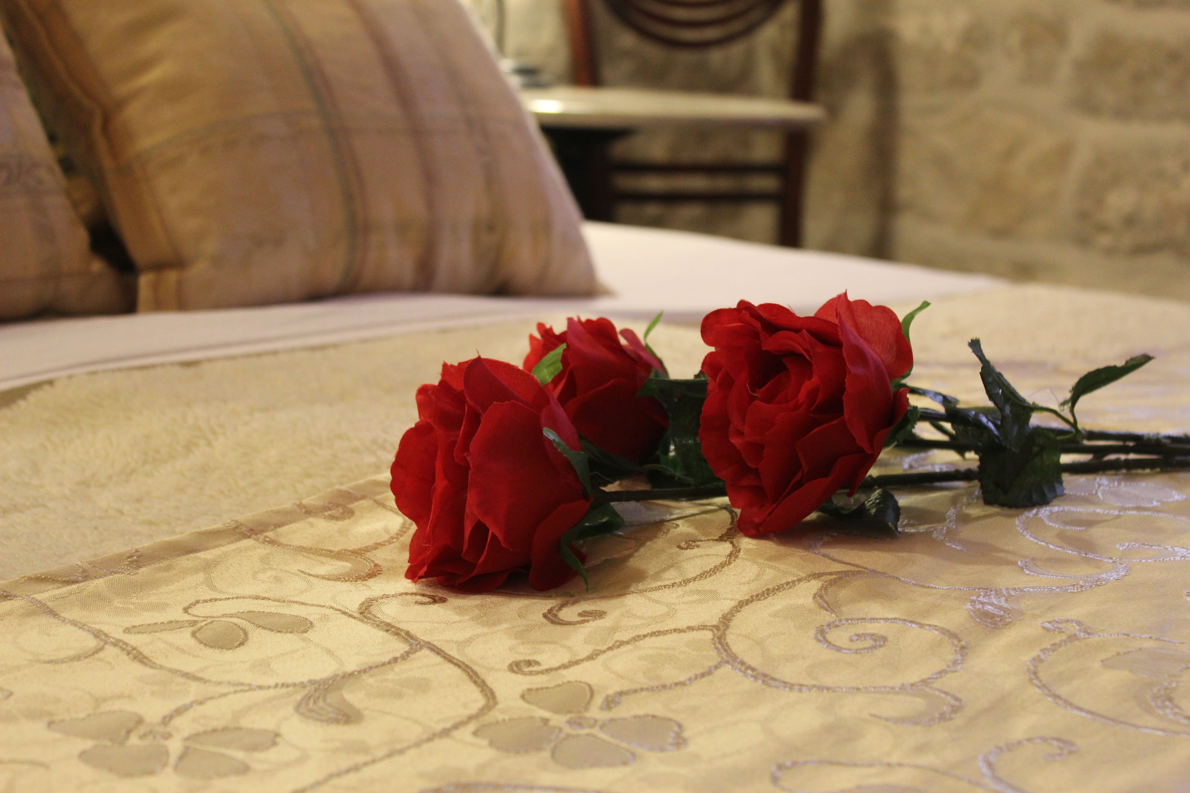 A bed with a floral-patterned bedspread and three red roses on it.