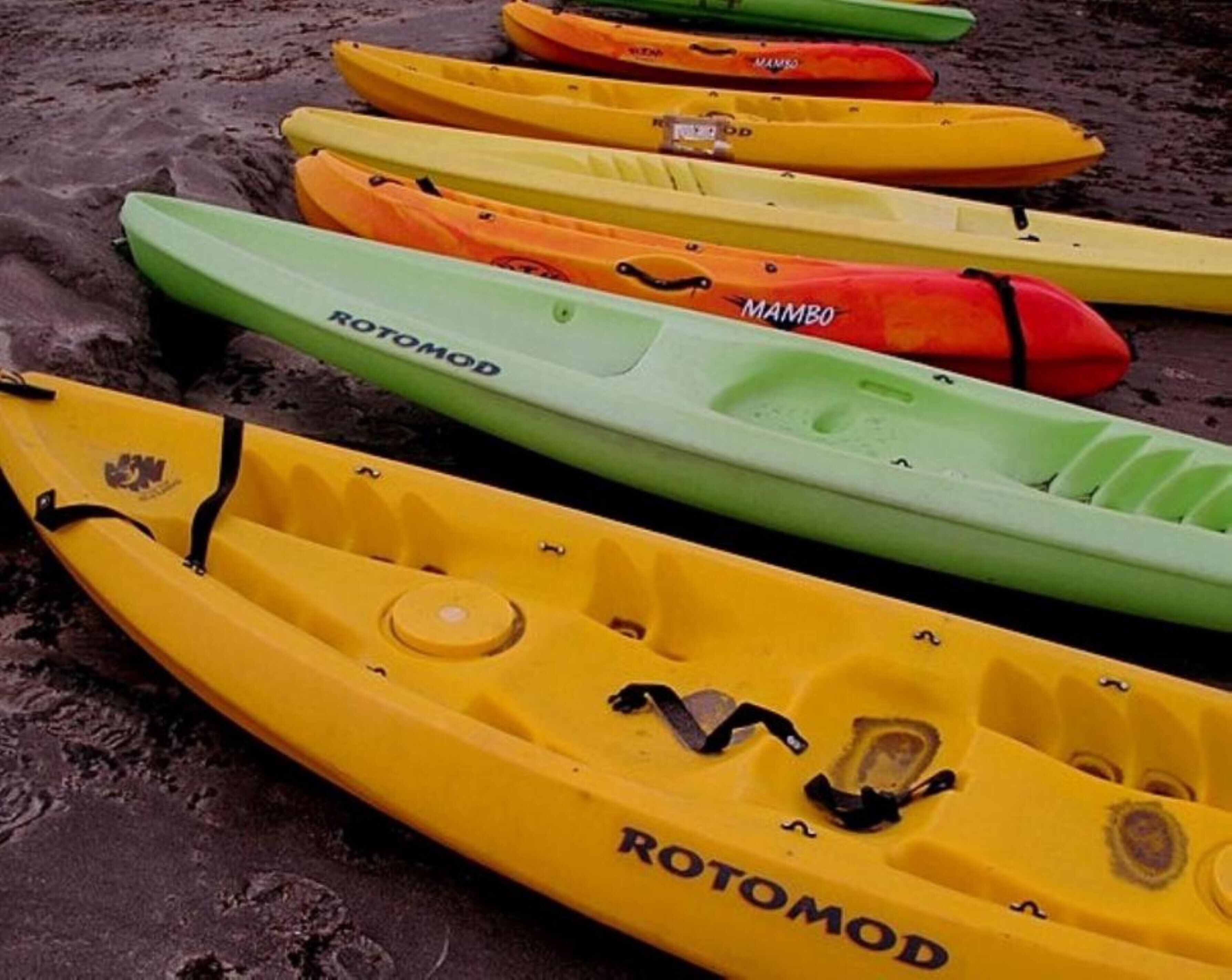 Una fila de kayaks alineados en una playa arenosa.
