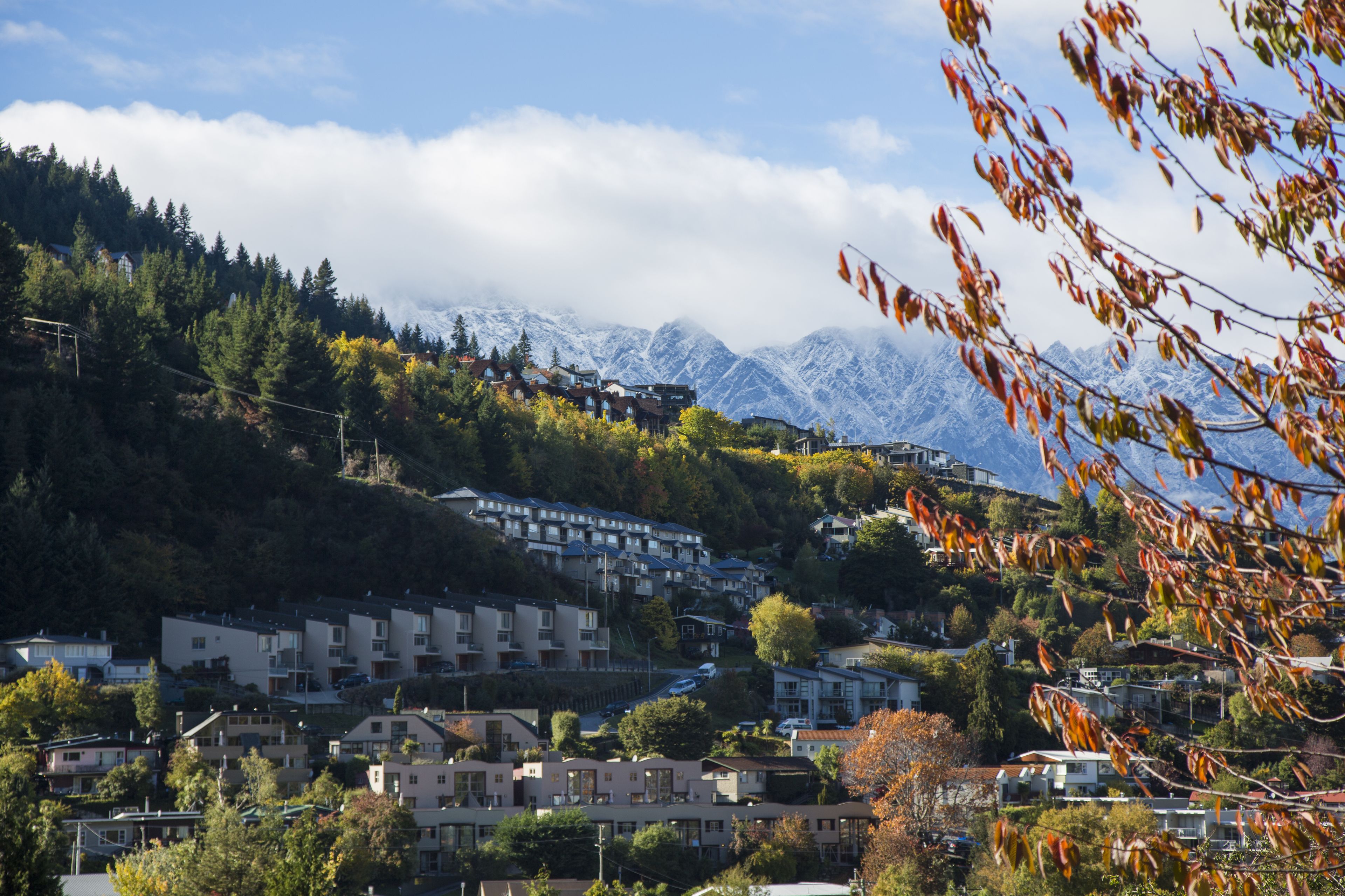 Foto - Pinewood Queenstown