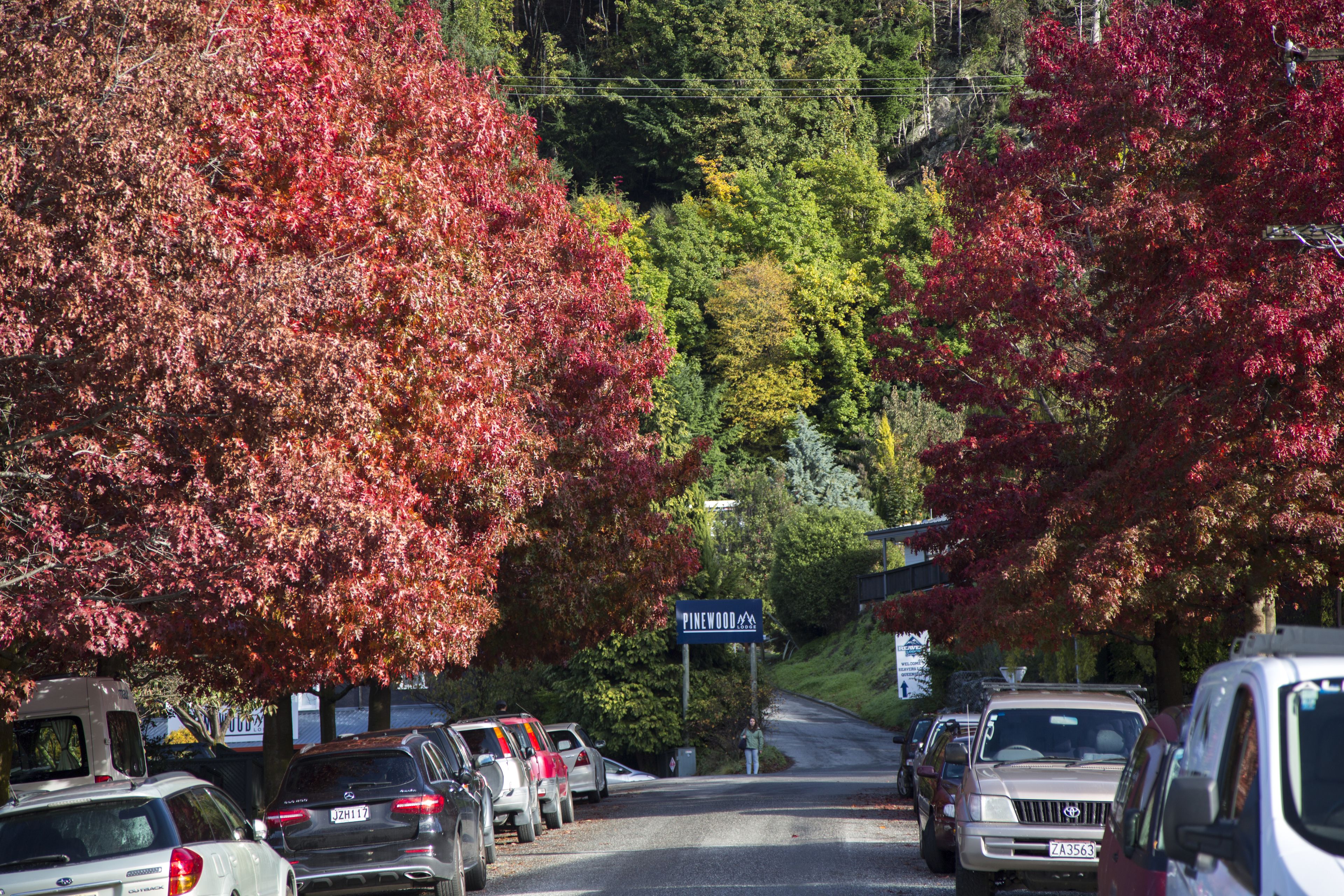 Foto - Pinewood Queenstown