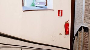 Un escalier avec une rampe, un extincteur et une fenêtre donnant sur un paysage verdoyant.