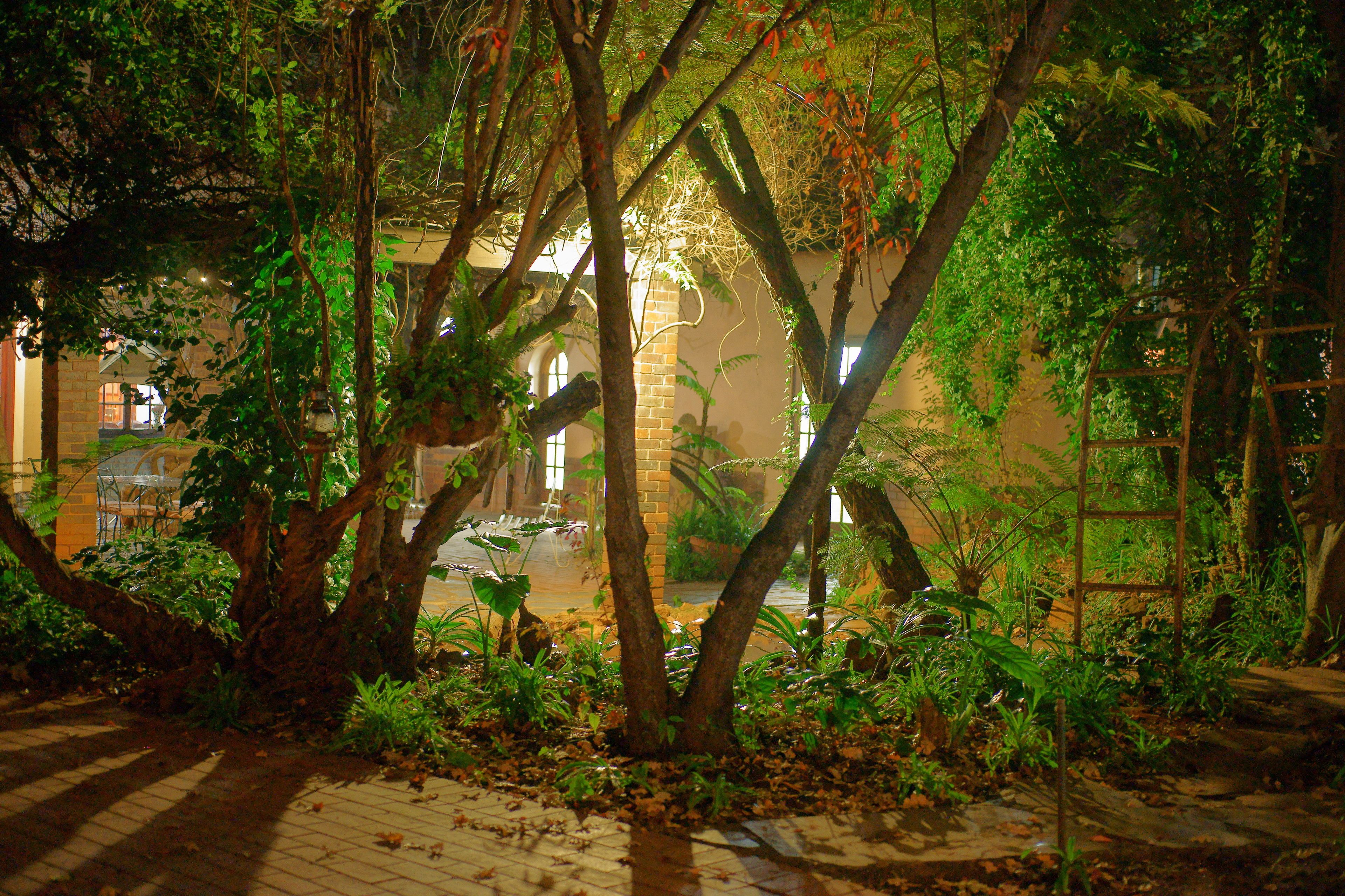 Foto - Foxwood House Boutique Hotel