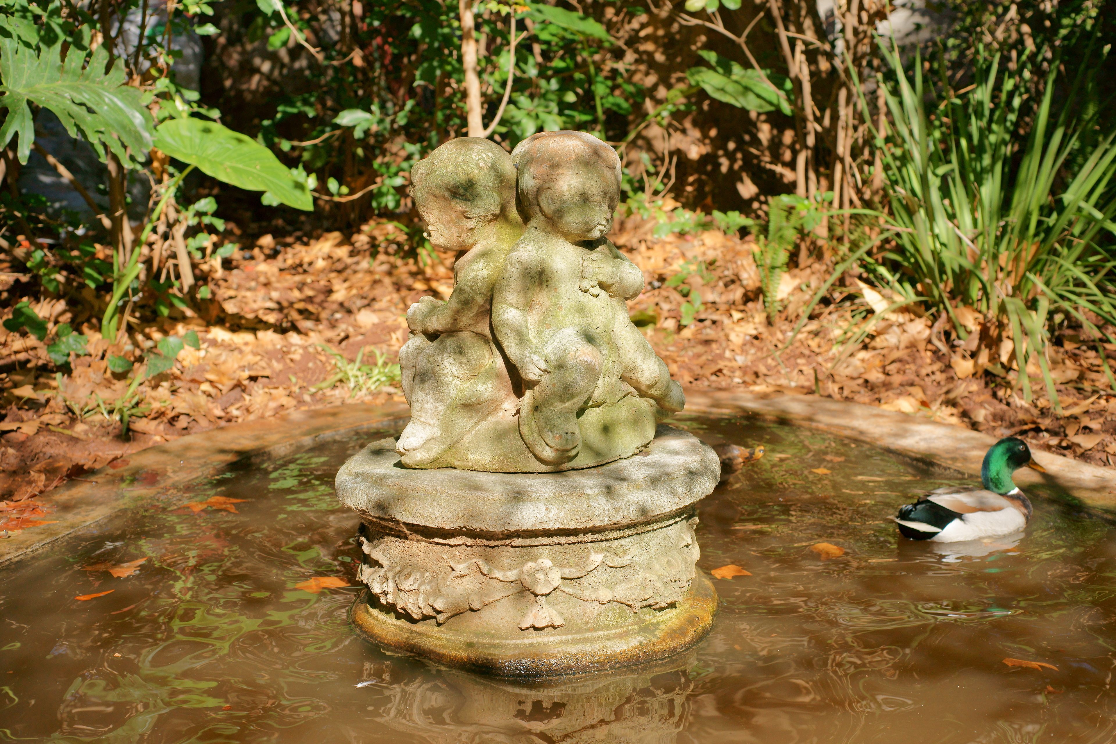 Foto - Foxwood House Boutique Hotel