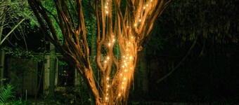 폭스우드 하우스