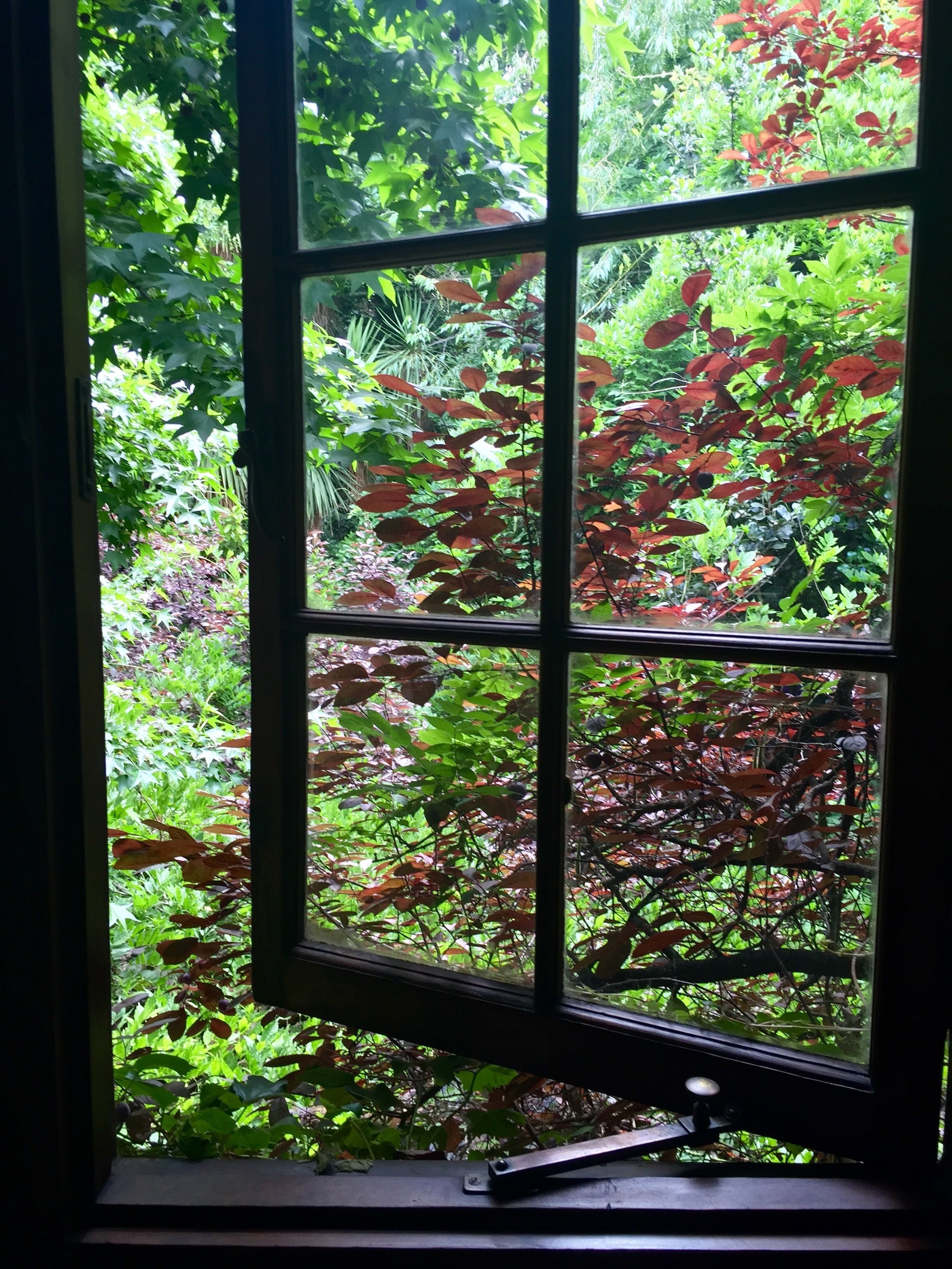 Foto - Foxwood House Boutique Hotel