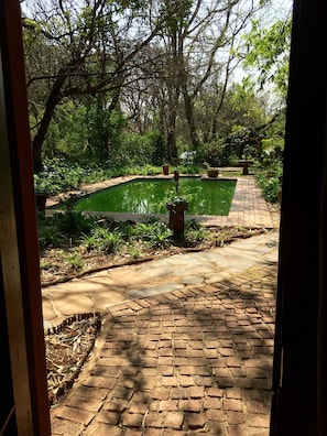 Suite (Merrilyn Oate's) | View from room