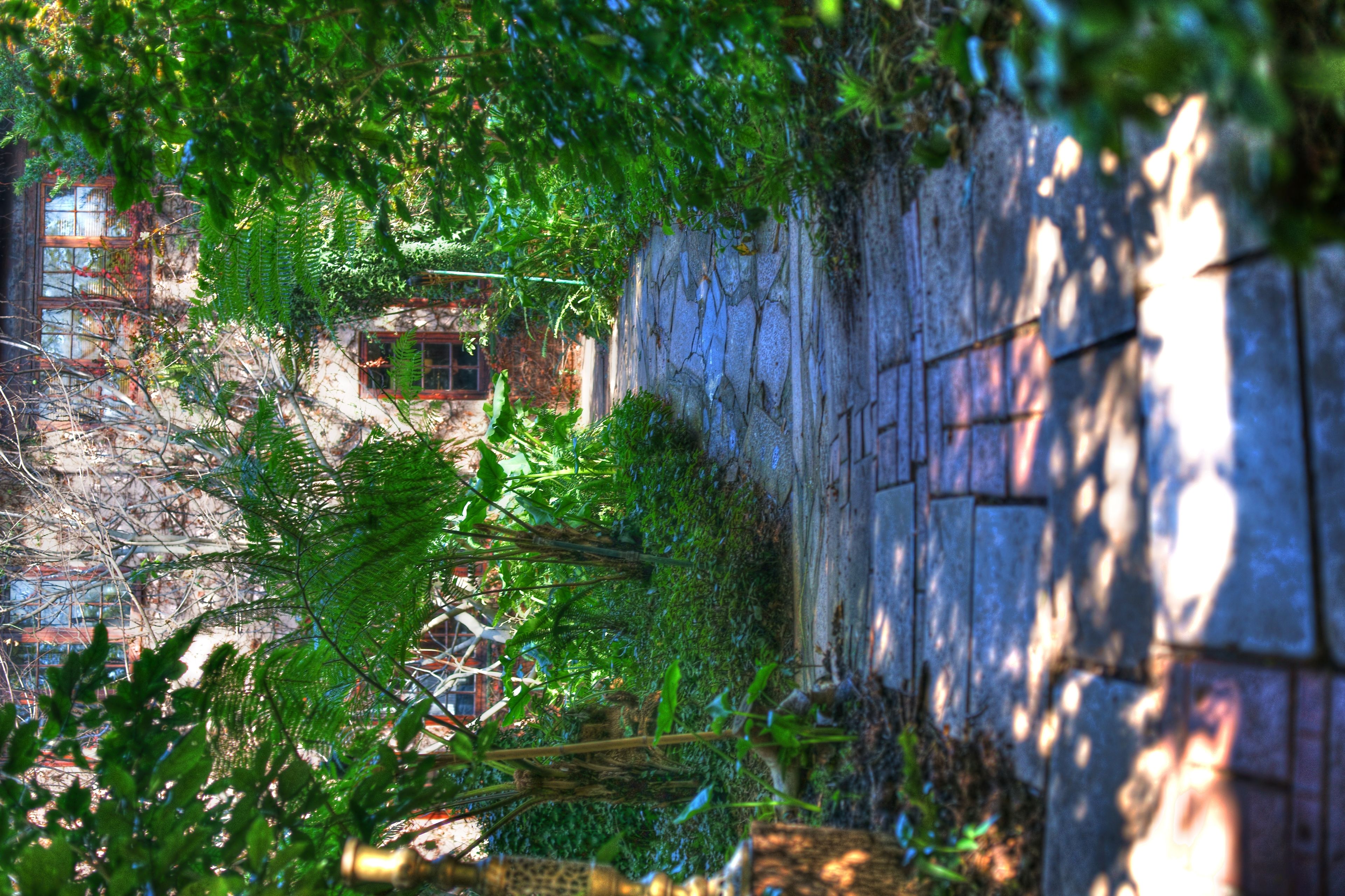 Foto - Foxwood House Boutique Hotel