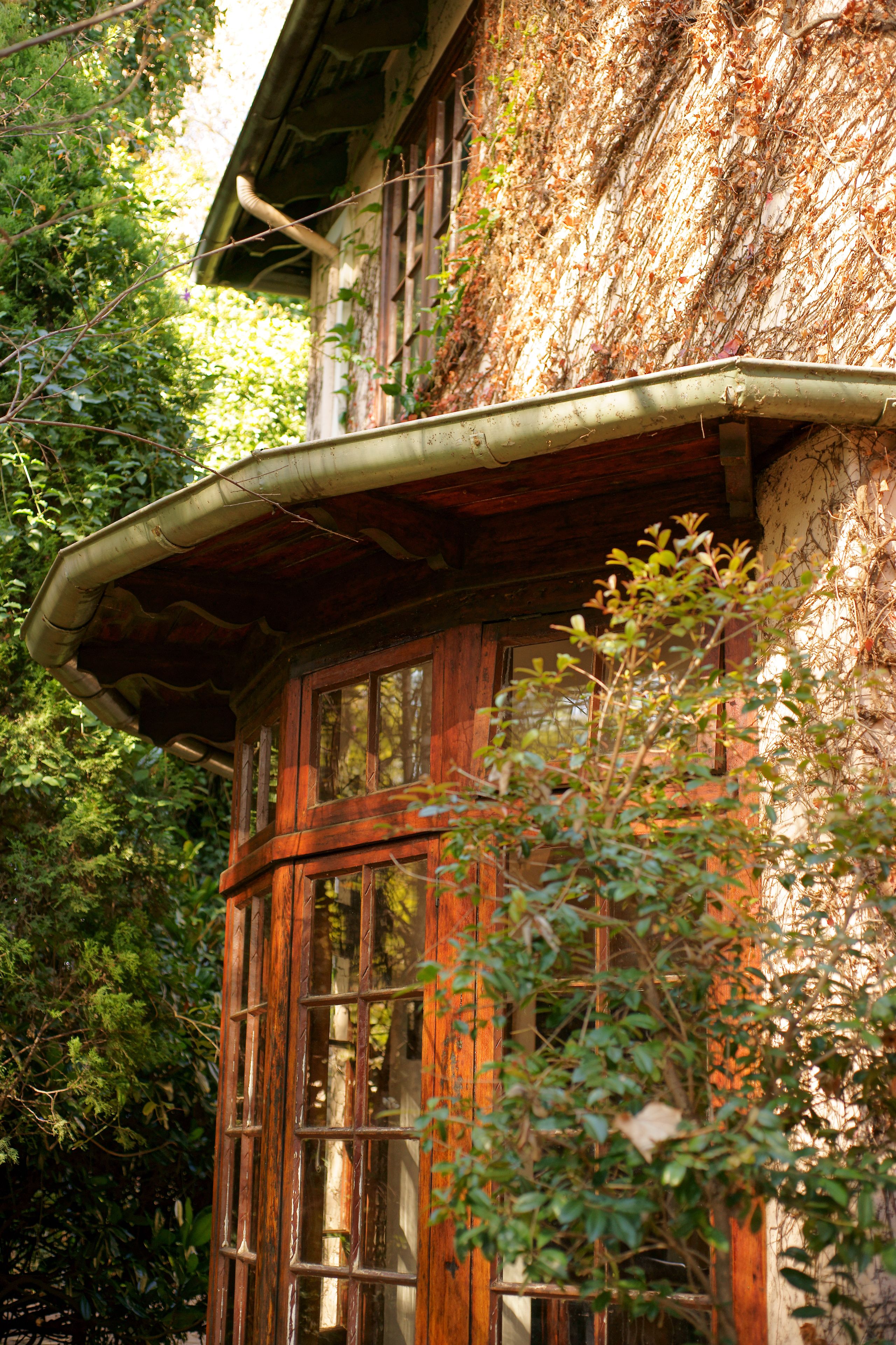 テラス / パティオ