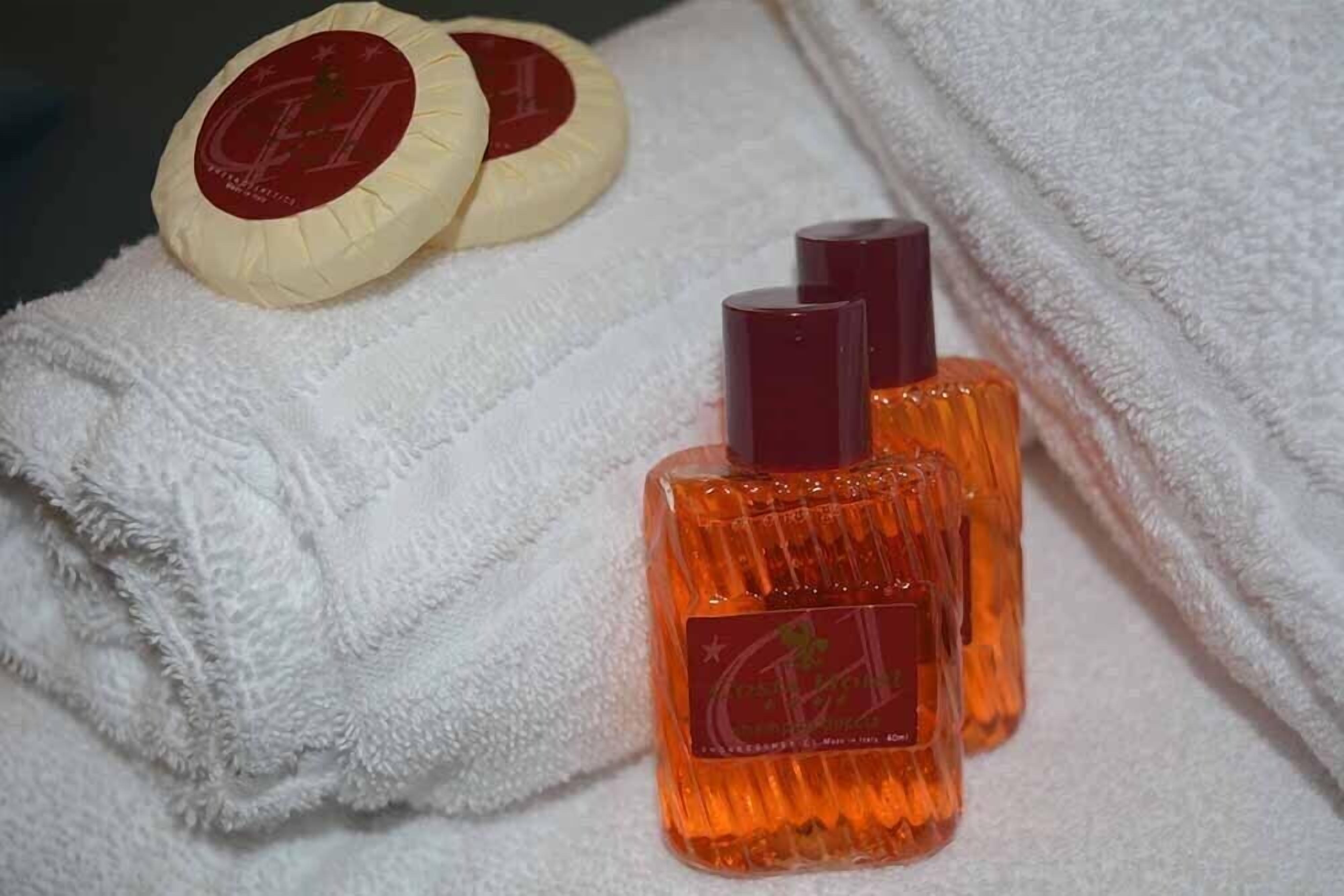 shower, free toiletries, hair dryer, bidet