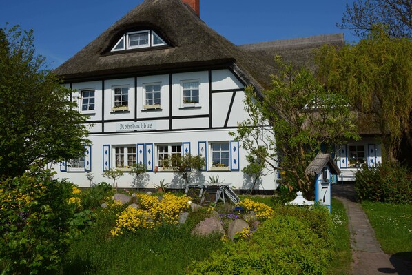 A traditional thatched-roof building with a sign reading "Möhrlebbus" and a garden with yellow flowers and rocks. - Reethäuser auf Rügen (Mönchgut-Granitz)