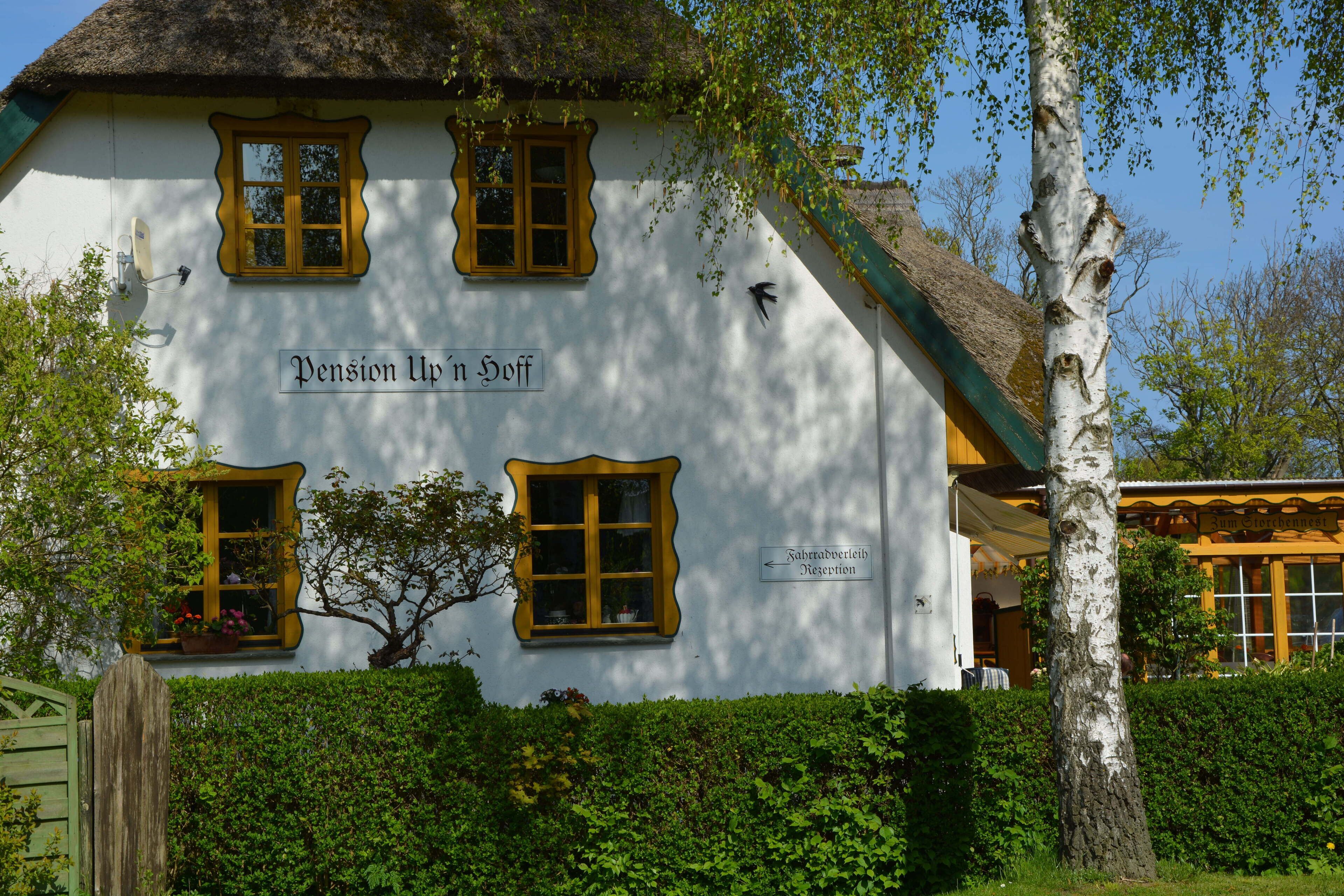 Eksteriør
