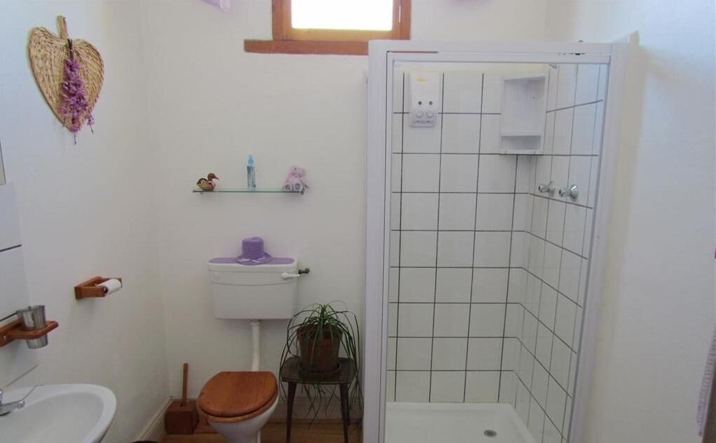 Une salle de bain équipée de toilettes, d’un lavabo, d’une douche et d’une petite étagère où sont rangés les articles de toilette.
