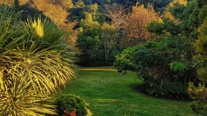 A lush garden with a variety of trees and plants, a well-maintained lawn, and a clear sky.