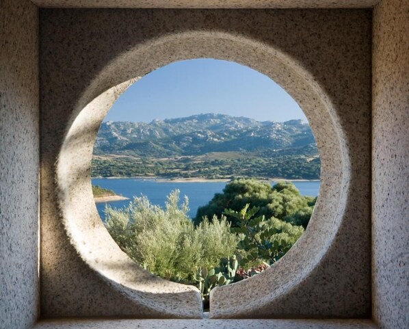 Vista desde la propiedad